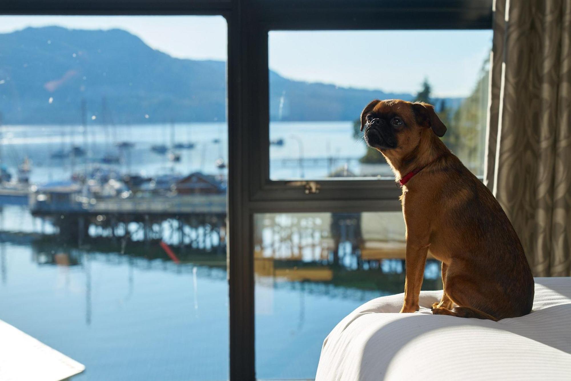 Brentwood Bay Resort & Spa Luaran gambar